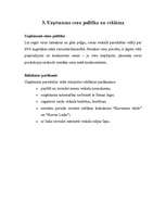 Biznesa plāns 'SIA "Ziedu pasaule"', 6.