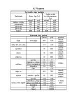 Biznesa plāns 'SIA "Ziedu pasaule"', 8.