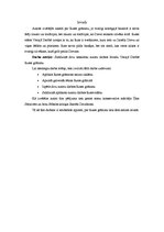 Referāts 'Sārnivāra un Davidsona uzskatu par Rutes grāmatu salīdzinājums', 2.