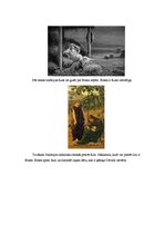 Referāts 'Sārnivāra un Davidsona uzskatu par Rutes grāmatu salīdzinājums', 13.