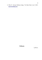 Referāts 'Sponsorēšana kā mārketinga komunikāciju metode kopējo komunikācijas mērķu īsteno', 15.