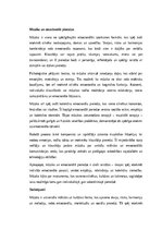 Eseja 'Mūzika: skaņas, emocijas un kultūras nozīme', 4.