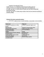 Biznesa plāns 'Mārketinga plāns', 2.