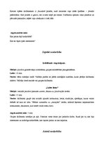 Konspekts 'Efektīvas saskarsmes treniņš', 8.