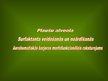 Prezentācija 'Alveola, surfaktanta veidošanās un noārdīšanās, aerohematoloģiskā barjeras morfo', 1.