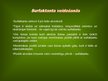 Prezentācija 'Alveola, surfaktanta veidošanās un noārdīšanās, aerohematoloģiskā barjeras morfo', 14.