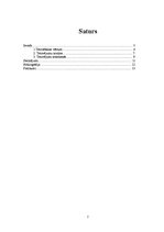 Referāts 'Tetovēšana', 2.