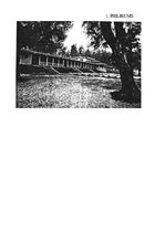 Referāts 'Rīgas dārzi un parki', 32.