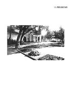 Referāts 'Rīgas dārzi un parki', 44.