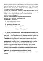 Referāts 'Datortīklu veidi, to raksturojums', 7.