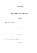 Biznesa plāns 'Rotaļu laukuma izveide', 1.