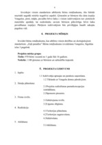 Biznesa plāns 'Rotaļu laukuma izveide', 6.