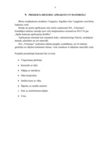 Biznesa plāns 'Rotaļu laukuma izveide', 9.