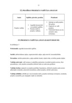 Biznesa plāns 'Rotaļu laukuma izveide', 12.