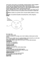 Konspekts 'Neverbālā komunikācija', 3.