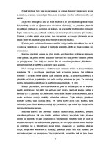 Referāts 'Televīzija Latvijā', 6.