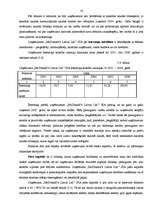 Referāts 'Uzņēmuma "McDonald's Latvia Ltd" finanšu pārskatu analīze', 16.