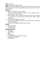 Paraugs 'Bērza vērojums', 1.