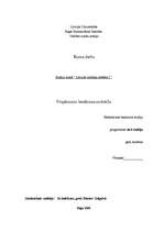 Referāts 'Uzņēmumu ienākuma nodoklis', 1.