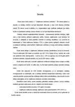 Referāts 'Uzņēmumu ienākuma nodoklis', 3.