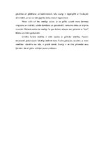 Eseja 'Mana psihiskā veselība un tās priekšnoteikumi', 2.