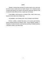 Referāts 'Vērtspapīru būtība, veidi un raksturojums', 3.