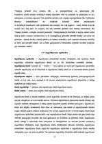 Referāts 'Vērtspapīru būtība, veidi un raksturojums', 17.