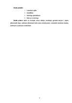 Referāts 'Astroloģija', 4.