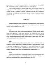 Referāts 'Astroloģija', 12.