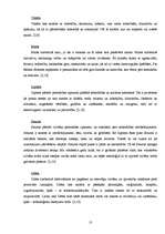 Referāts 'Astroloģija', 13.