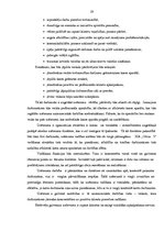 Diplomdarbs 'Mazumtirdzniecības uzņēmuma "Odziņa 3" izveide', 19.