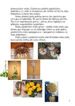 Biznesa plāns 'SIA "Bloom"', 6.