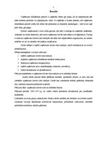 Referāts 'Uzņēmums, tā dzīves cikls', 4.