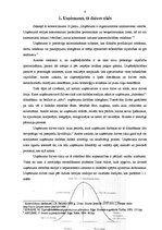 Referāts 'Uzņēmums, tā dzīves cikls', 5.