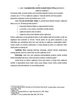 Referāts 'Uzņēmums, tā dzīves cikls', 8.