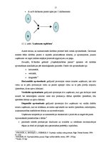 Referāts 'Uzņēmums, tā dzīves cikls', 16.