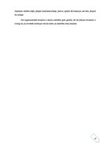 Referāts 'Biznesa procesi reinženieringā', 17.