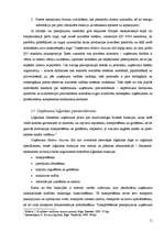 Prakses atskaite 'Prakses atskaite. SIA "Elektro Gaisma"', 11.