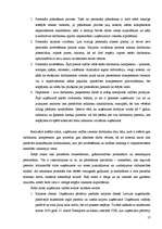 Prakses atskaite 'Prakses atskaite. SIA "Elektro Gaisma"', 17.