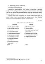 Prakses atskaite 'Prakses atskaite. SIA "Elektro Gaisma"', 20.