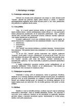 Biznesa plāns 'SIA "Akords" biznesa plāns', 11.