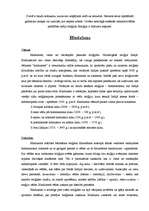 Referāts 'Hinduisms', 1.