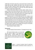 Referāts 'Hinduisms', 4.