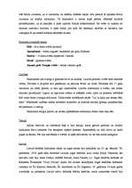 Referāts 'Hinduisms', 5.