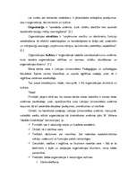 Referāts 'Komandu veidošanas iespējas manā darba vietā', 3.