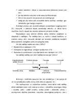 Referāts 'Komandu veidošanas iespējas manā darba vietā', 7.