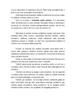 Referāts 'Komandu veidošanas iespējas manā darba vietā', 12.