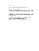 Referāts 'Komandu veidošanas iespējas manā darba vietā', 13.