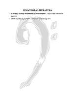 Referāts 'Ludviga van Bēthovena opera "Fidelio"', 6.