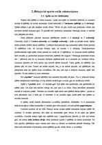 Referāts 'Hokejs un tā fenomens - līdzjutēji', 6.